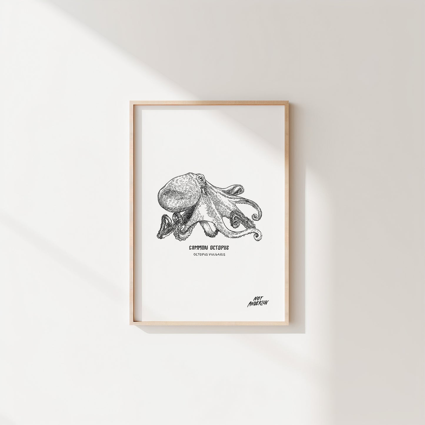 The Little Things | Octopus Print