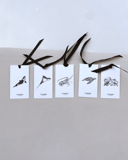 Ocean Gift Wrap Set