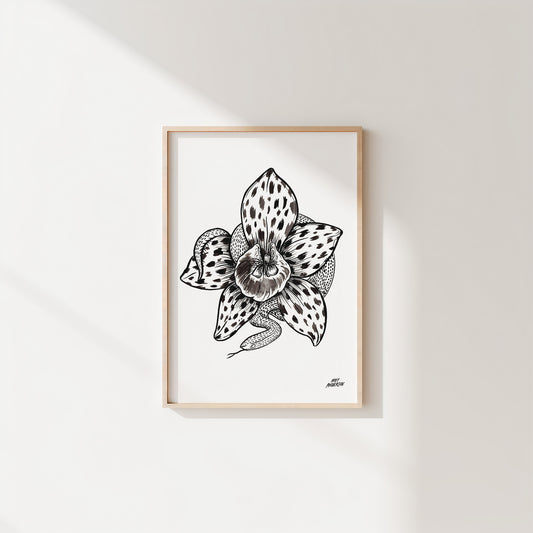 Orchid Print