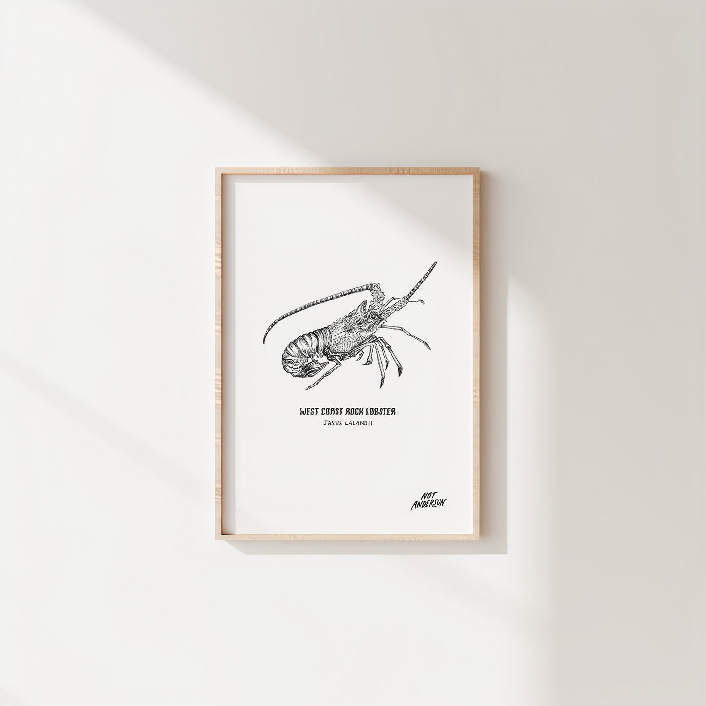 The Little Things | Crayfish Print