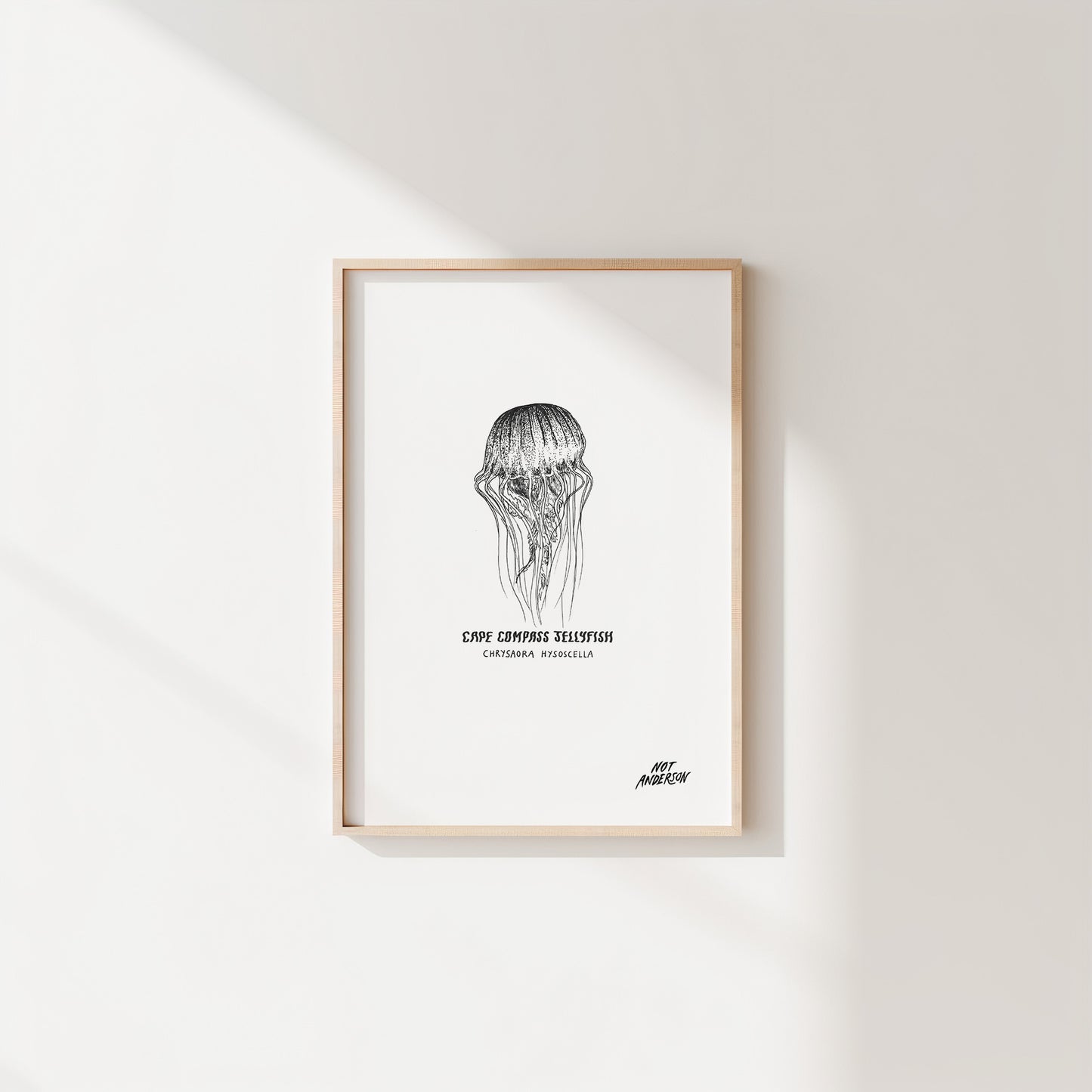 The Little Things | Jellyfish Print