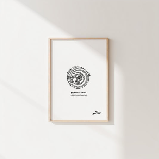 The Little Things | Pyjama Shark Print